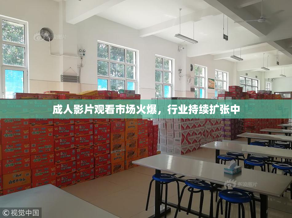 成人影片观看市场火爆，行业持续扩张中