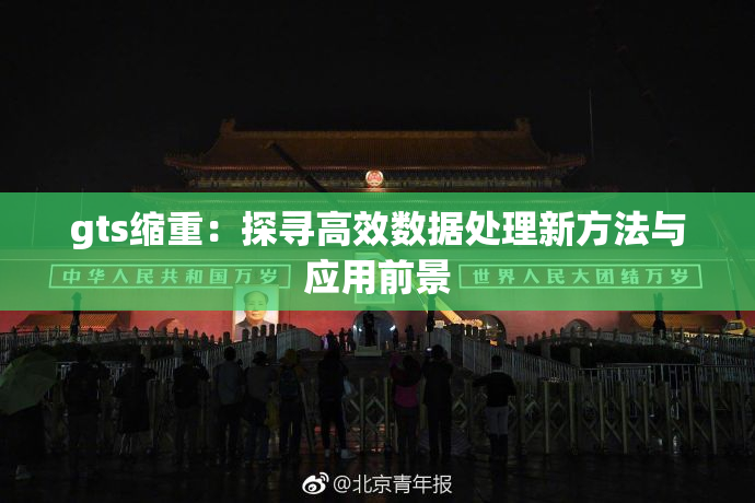 gts缩重：探寻高效数据处理新方法与应用前景
