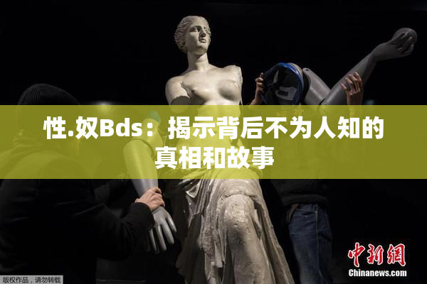 性.奴Bds：揭示背后不为人知的真相和故事
