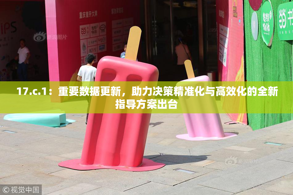 17.c.1：重要数据更新，助力决策精准化与高效化的全新指导方案出台
