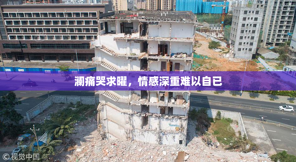 澜痛哭求曜，情感深重难以自已