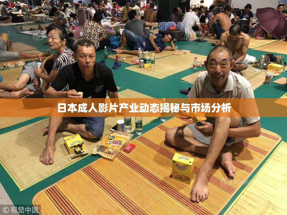 日本成人影片产业动态揭秘与市场分析