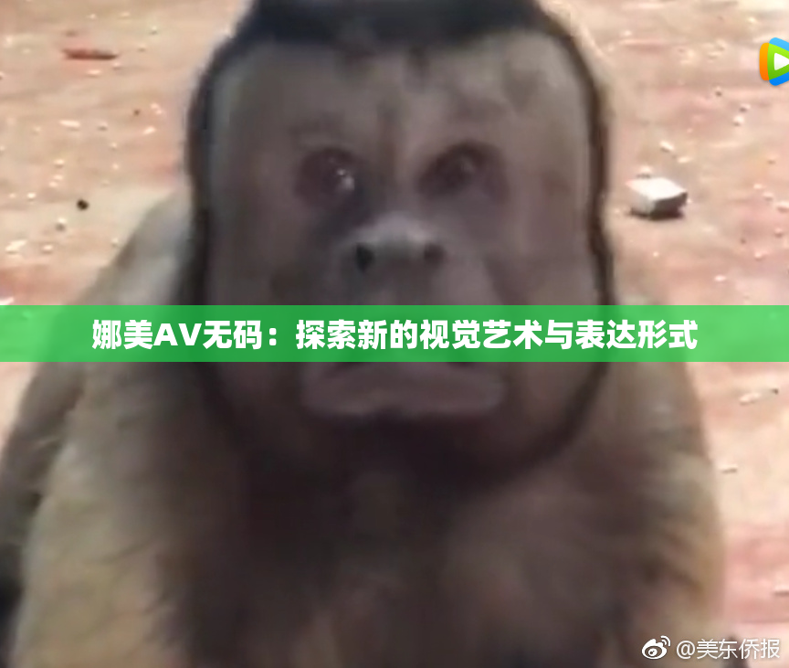 娜美AV无码：探索新的视觉艺术与表达形式