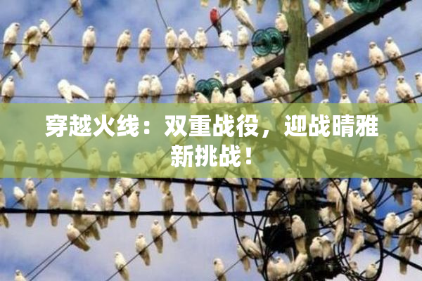 穿越火线：双重战役，迎战晴雅新挑战！