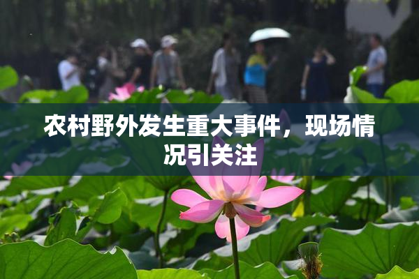 农村野外发生重大事件，现场情况引关注