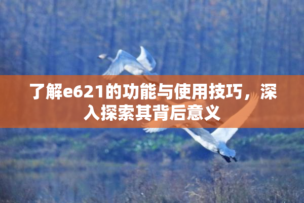 了解e621的功能与使用技巧，深入探索其背后意义