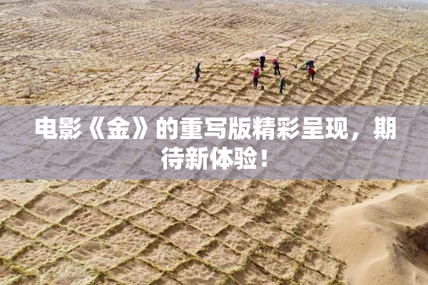 电影《金》的重写版精彩呈现，期待新体验！