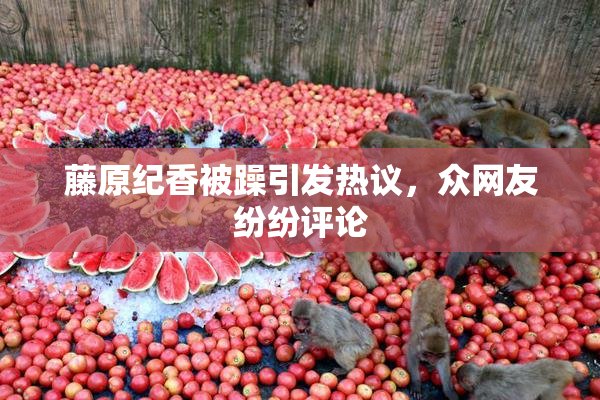 藤原纪香被躁引发热议，众网友纷纷评论