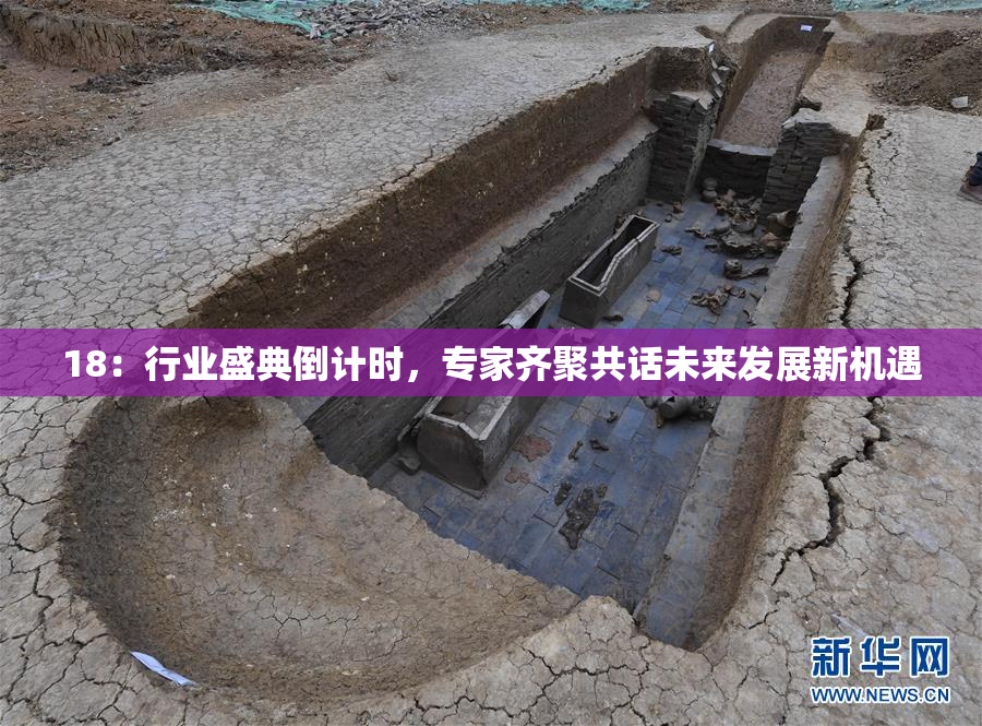 18：行业盛典倒计时，专家齐聚共话未来发展新机遇