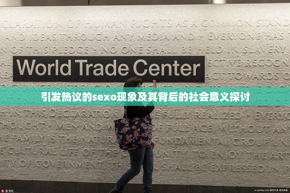 引发热议的sexo现象及其背后的社会意义探讨