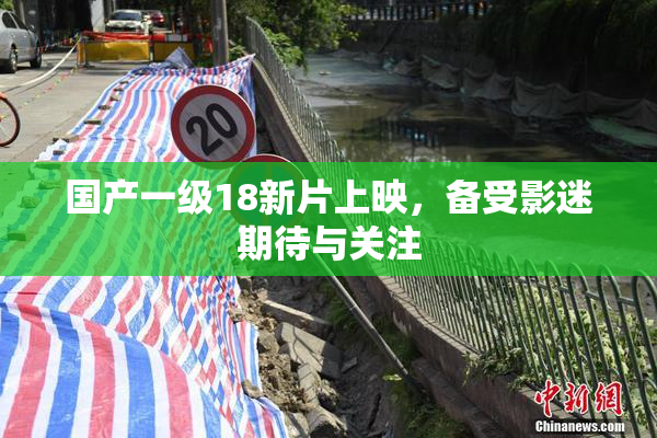 国产一级18新片上映，备受影迷期待与关注
