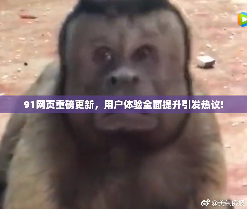 91网页重磅更新，用户体验全面提升引发热议!