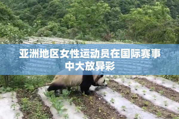 亚洲地区女性运动员在国际赛事中大放异彩