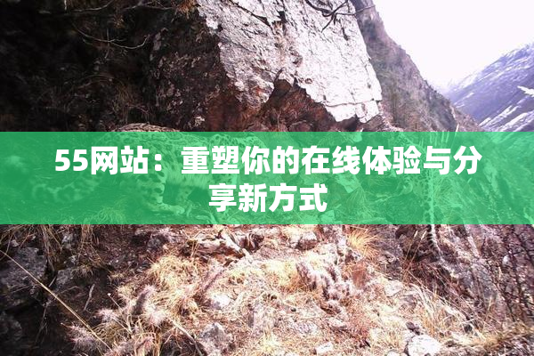 55网站：重塑你的在线体验与分享新方式