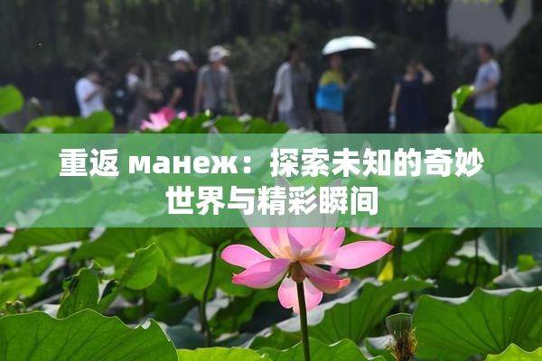 重返 манеж：探索未知的奇妙世界与精彩瞬间
