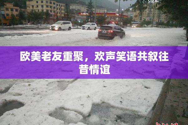 欧美老友重聚，欢声笑语共叙往昔情谊