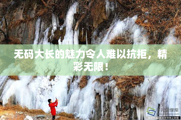 无码大长的魅力令人难以抗拒，精彩无限！