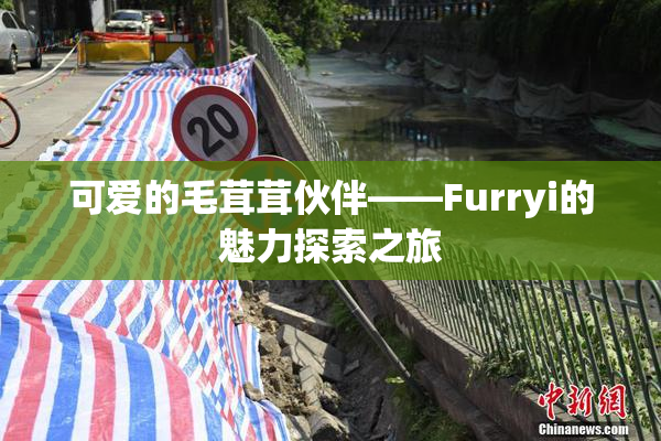 可爱的毛茸茸伙伴——Furryi的魅力探索之旅