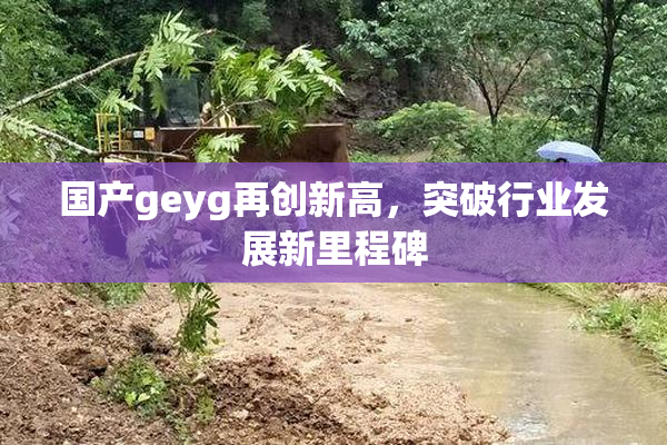 国产geyg再创新高，突破行业发展新里程碑