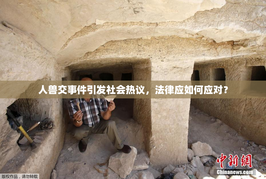 人兽交事件引发社会热议，法律应如何应对？