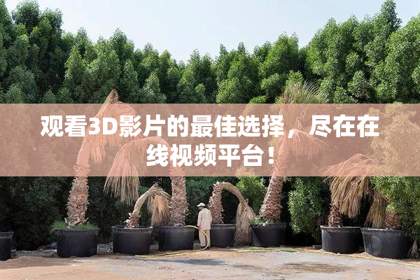 观看3D影片的最佳选择，尽在在线视频平台！