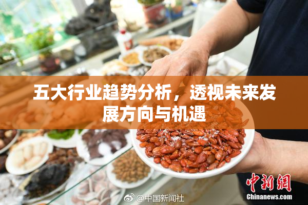 五大行业趋势分析，透视未来发展方向与机遇