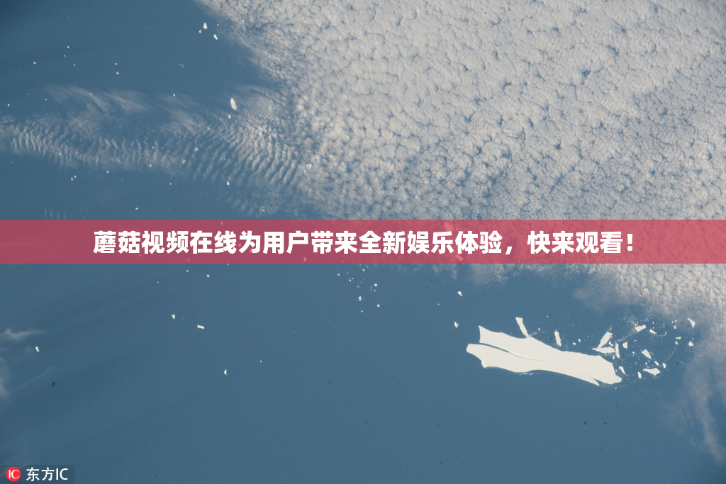 蘑菇视频在线为用户带来全新娱乐体验，快来观看！