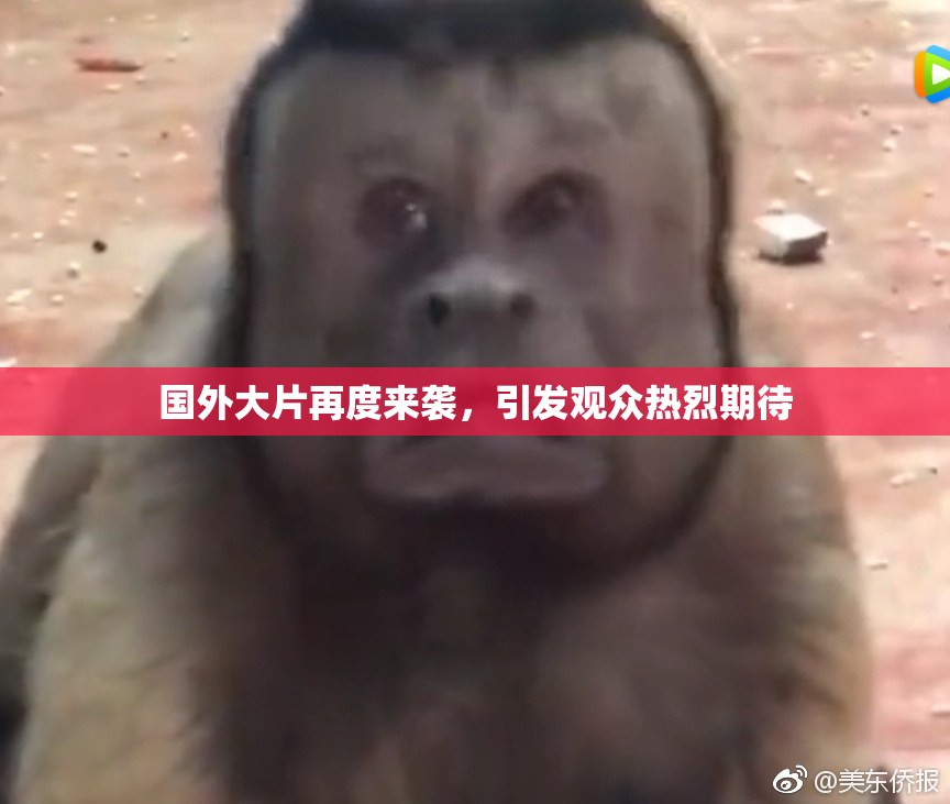国外大片再度来袭，引发观众热烈期待