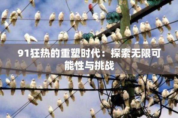 91狂热的重塑时代：探索无限可能性与挑战
