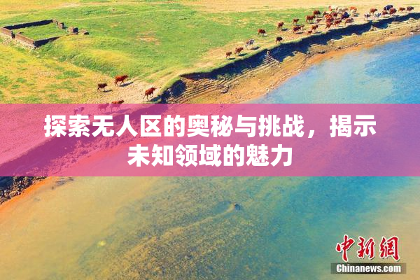 探索无人区的奥秘与挑战，揭示未知领域的魅力