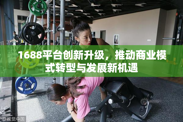 1688平台创新升级，推动商业模式转型与发展新机遇