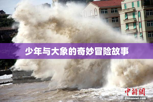少年与大象的奇妙冒险故事