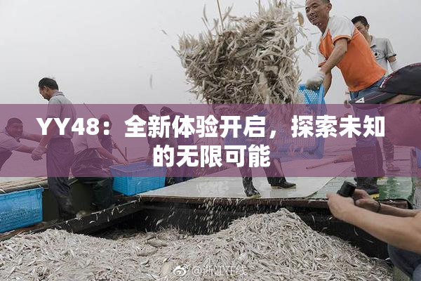 YY48：全新体验开启，探索未知的无限可能