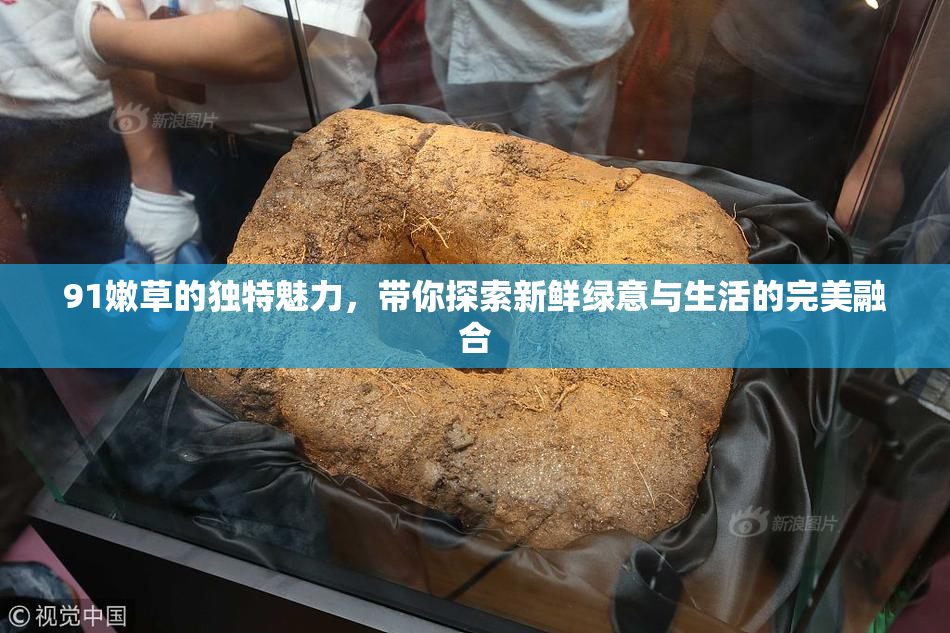 91嫩草的独特魅力，带你探索新鲜绿意与生活的完美融合