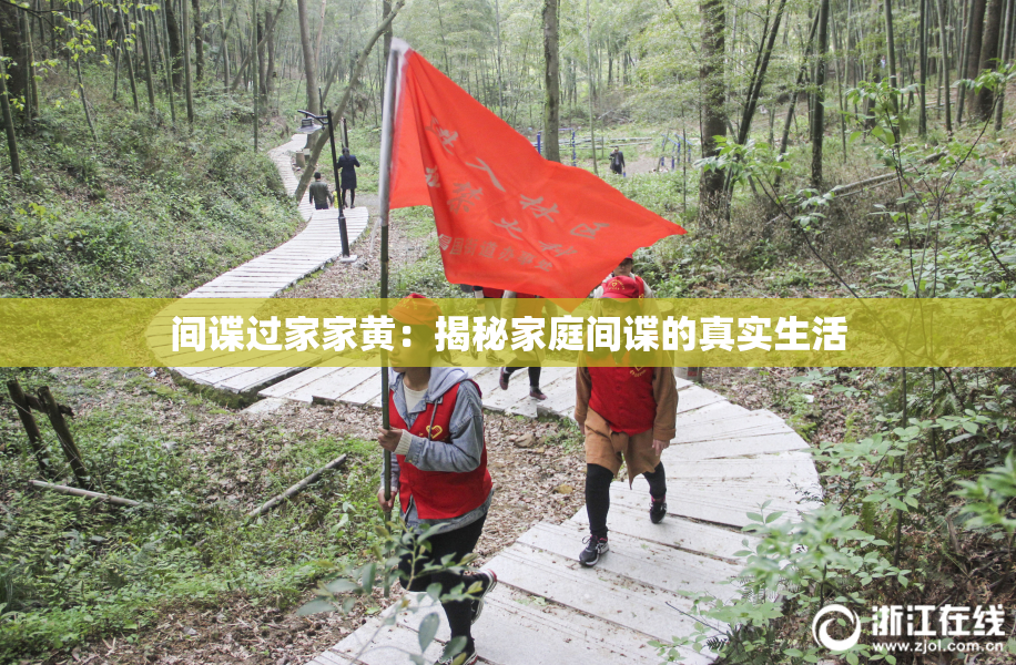 间谍过家家黄：揭秘家庭间谍的真实生活