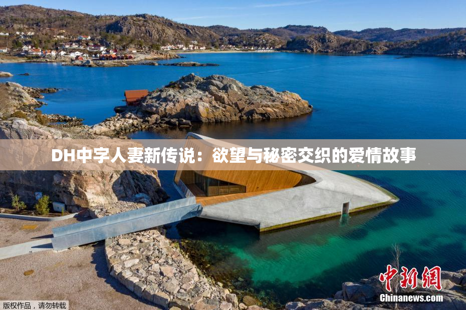 DH中字人妻新传说：欲望与秘密交织的爱情故事