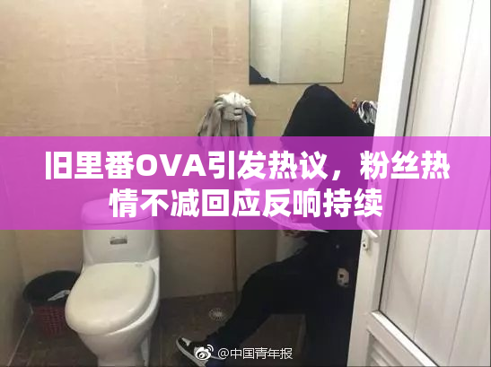 旧里番OVA引发热议，粉丝热情不减回应反响持续