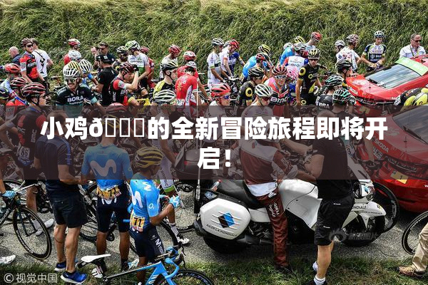 小鸡🐔的全新冒险旅程即将开启！