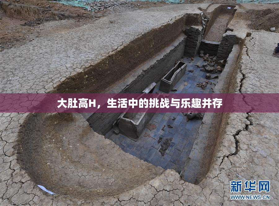 大肚高H，生活中的挑战与乐趣并存
