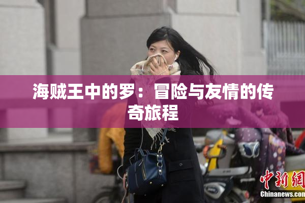 海贼王中的罗：冒险与友情的传奇旅程