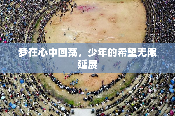 梦在心中回荡，少年的希望无限延展