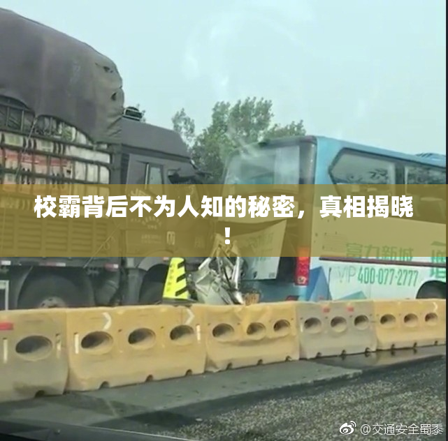 校霸背后不为人知的秘密，真相揭晓！