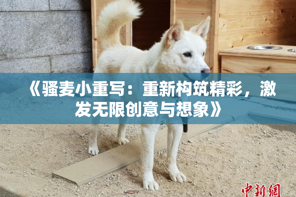 《骚麦小重写：重新构筑精彩，激发无限创意与想象》