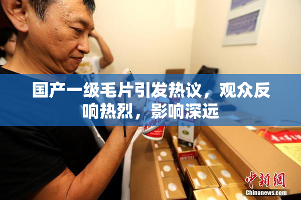 国产一级毛片引发热议，观众反响热烈，影响深远