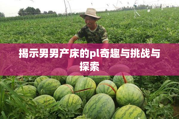揭示男男产床的pl奇趣与挑战与探索
