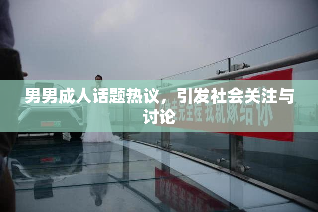 男男成人话题热议，引发社会关注与讨论
