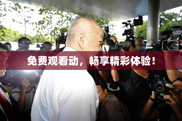 免费观看动，畅享精彩体验！