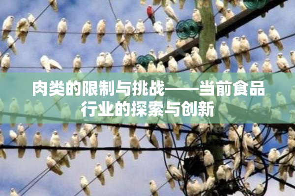 肉类的限制与挑战——当前食品行业的探索与创新