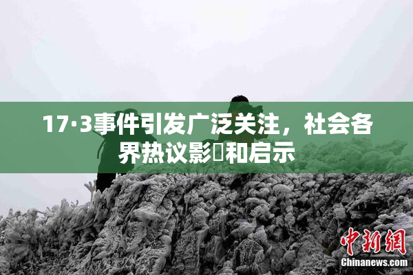 17·3事件引发广泛关注，社会各界热议影響和启示