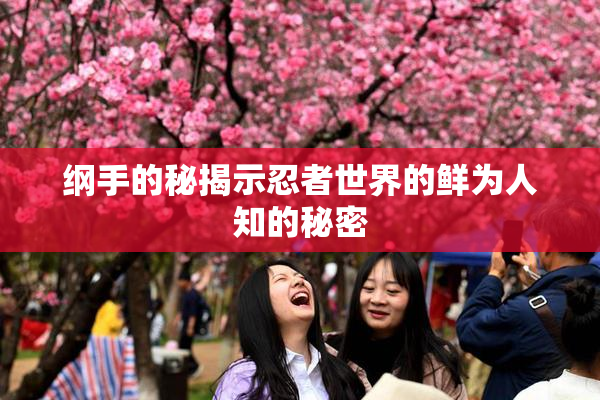 纲手的秘揭示忍者世界的鲜为人知的秘密